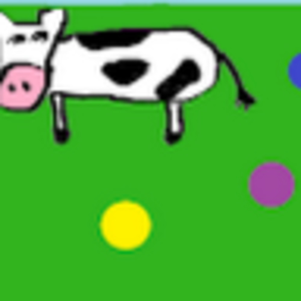 Meet your Posher, Viva